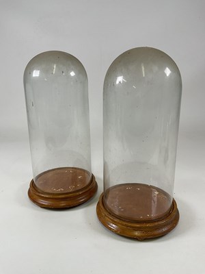 Lot 204 - Two glass domes with stained bases, larger...