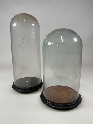 Lot 193 - Two glass domes with ebonised bases, larger...