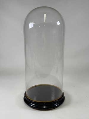 Lot 194 - A glass dome with ebonised base, height 68cm.