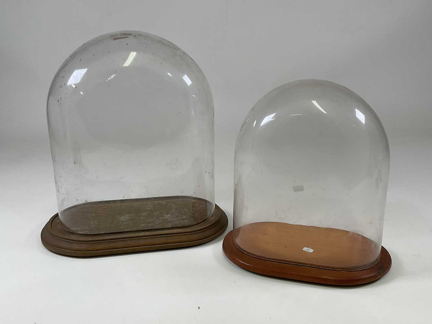 Lot 196 - Two glass domes with oak bases, larger height...