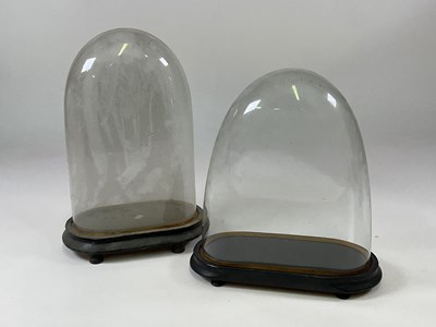 Lot 197 - Two glass domes with ebonised bases, larger...