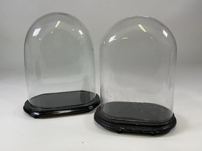 Lot 198 - Two glass domes with ebonised bases, larger...