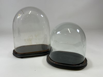 Lot 199 - Two glass domes with ebonised bases, larger...