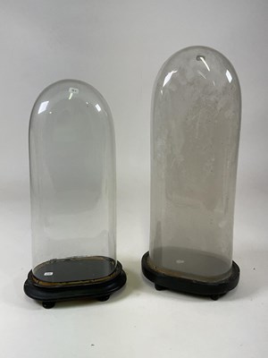 Lot 201 - Two glass domes with ebonised bases, larger...