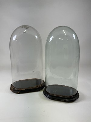 Lot 202 - Two glass domes with ebonised bases, larger...