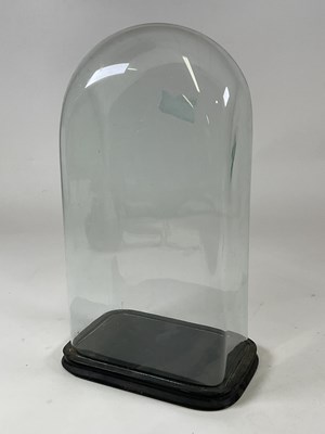 Lot 203 - A glass dome with ebonised base, height 51cm.