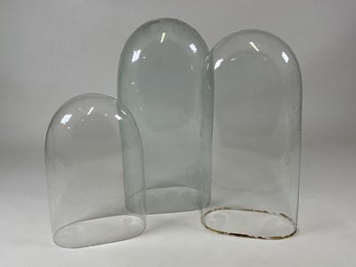 Lot 213 - Three glass domes, largest height 53cm.