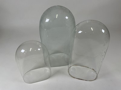 Lot 213 - Three glass domes, largest height 53cm.