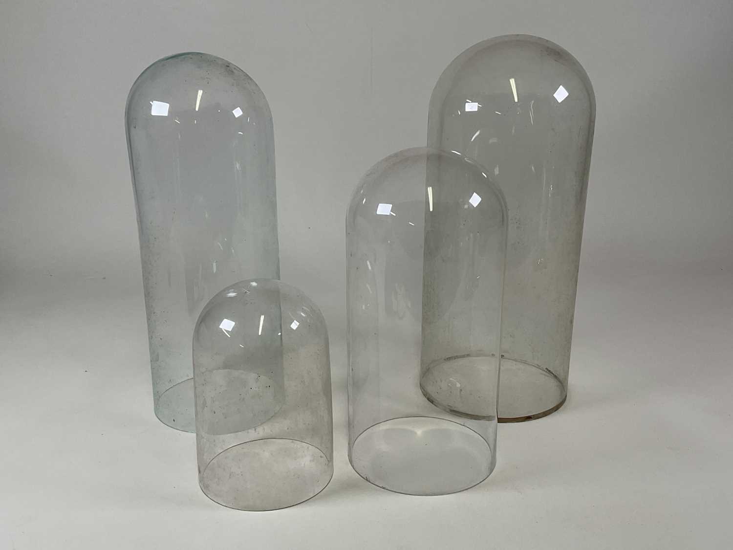 Lot 214 - Four glass domes, largest height 52cm.