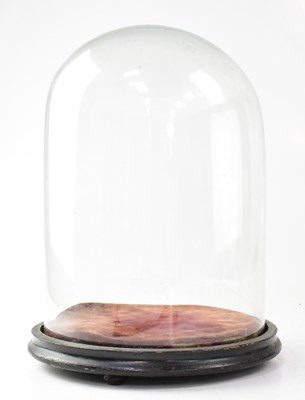 Lot 213 - A glass dome set on a velvet plinth and black...