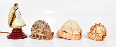 Lot 669 - Three decorative carved conch shells including...