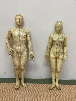 Lot 80 - A pair of mid 20th century rubber anatomical...