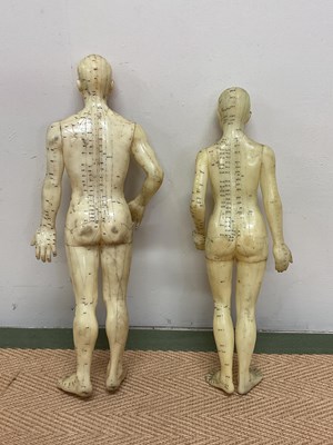 Lot 80 - A pair of mid 20th century rubber anatomical...