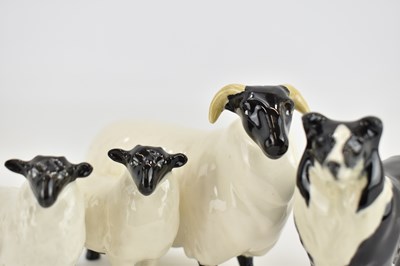 Lot 255 - BESWICK; a Black Face Ram, two lambs and a...