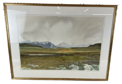 Lot 173 - MICHAEL FELMINGHAM (born 1935); watercolour,...