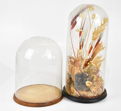 Lot 578 - A late 19th/early 20th century glass dome...