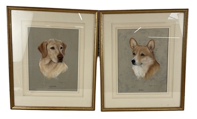 Lot 233 - PLAYFAIR; pastel drawing of a labrador 'Plover'...