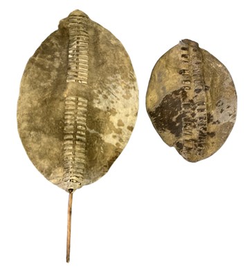 Lot 1224 - A large African Zulu dance shield, length...