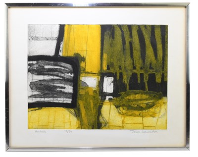 Lot 904 - JOHN BRUNSDEN (1933-2014); pencil signed...