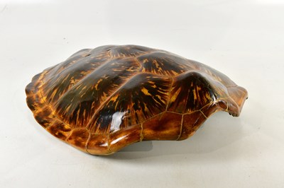 Lot 696 - TAXIDERMY; a green turtle shell (Chelonia...