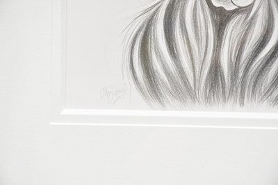 Lot 1671 - JENNIFER HOGWOOD; pencil sketch, 'Big Star...