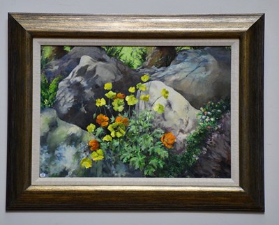 Lot 374 - JUNE BEVAN; oil on board, 'Wild Poppies, Newby...