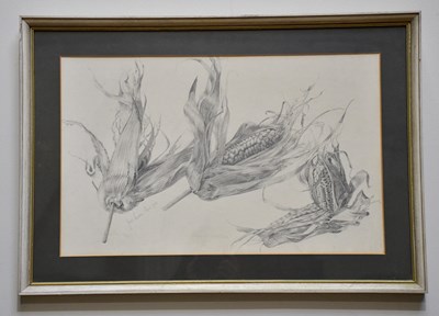 Lot 291 - JUNE BEVAN; drawing, 'Corn on the Cob', signed...