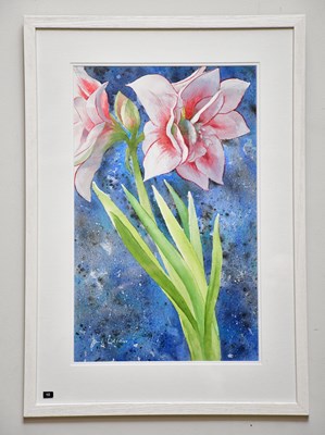 Lot 316 - JUNE BEVAN; watercolour, 'Red Rimmed Amaryllis'...