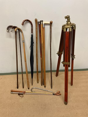 Lot 90 - A collection of walking sticks including some...