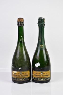 Lot 2739 - SPARKLING WINE; two bottles of 1990 Pinot Noir...