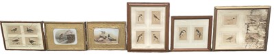 Lot 319 - E B BRIGGS; a pair of watercolours, birds on...