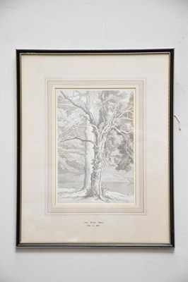 Lot 741 - JOHN WHITE ABBOTT (1763-1851); pen and wash...