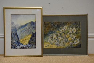 Lot 752 - UNATTRIBUTED; watercolour of daisies, unsigned,...