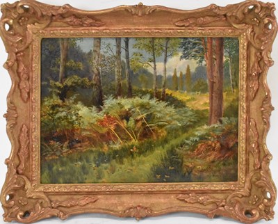 Lot 204 - THOMAS J PURCHAS (1879-1910); oil on board,...