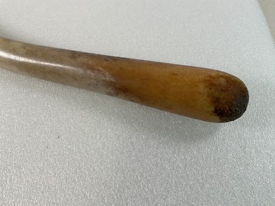 Lot 41 - An oosik (fossilised walrus penis), often used...