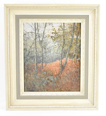 Lot 500 - DERRICK JENNINGS (1920-2015); oil on canvas,...