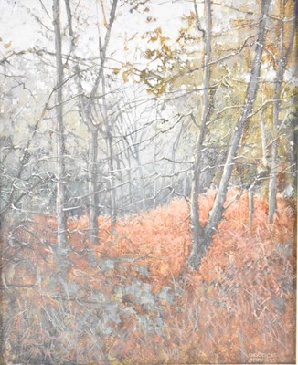 Lot 500 - DERRICK JENNINGS (1920-2015); oil on canvas,...
