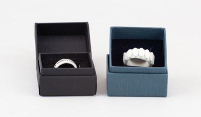 Lot 489 - PHILIP PLANT (born 1937); two porcelain rings,...