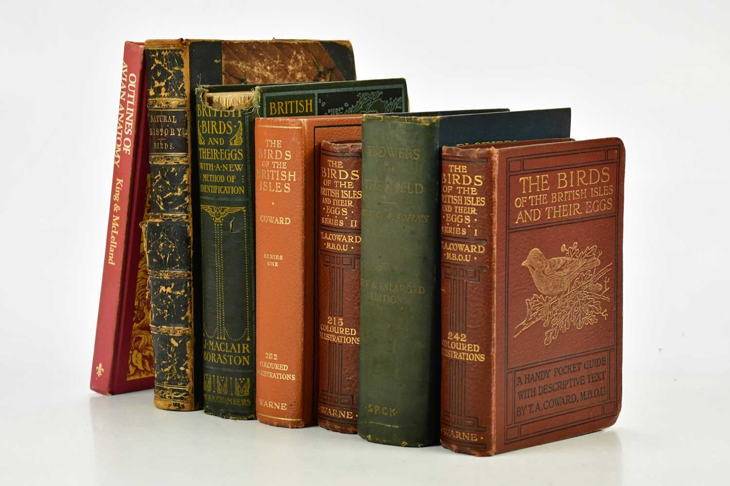 Lot 596 - A collection of five books on birds, to