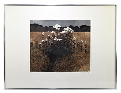 Lot 1151 - PHILIP GREENWOOD; limited edition coloured...