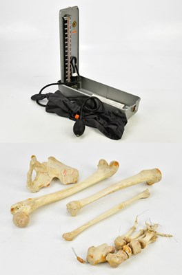 Lot 1367 - A group of medical lower joint bones, together...