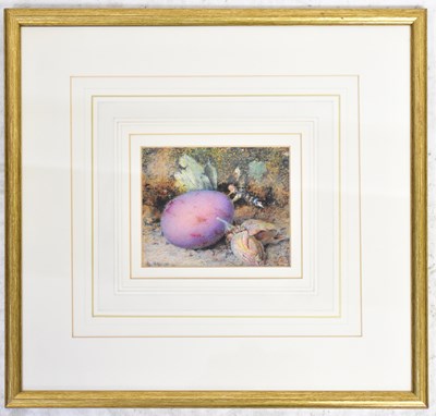 Lot 548 - WILLIAM B. CLOUGH (fl. 1857-1894); watercolour,...