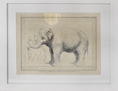 Lot 173 - AFTER REMBRANDT; engraving of an elephant and...