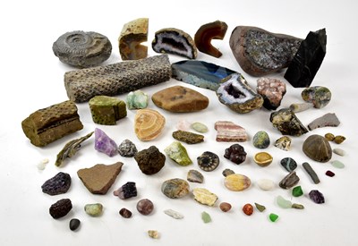 Lot 1389 - A collection of assorted fossils, and natural...