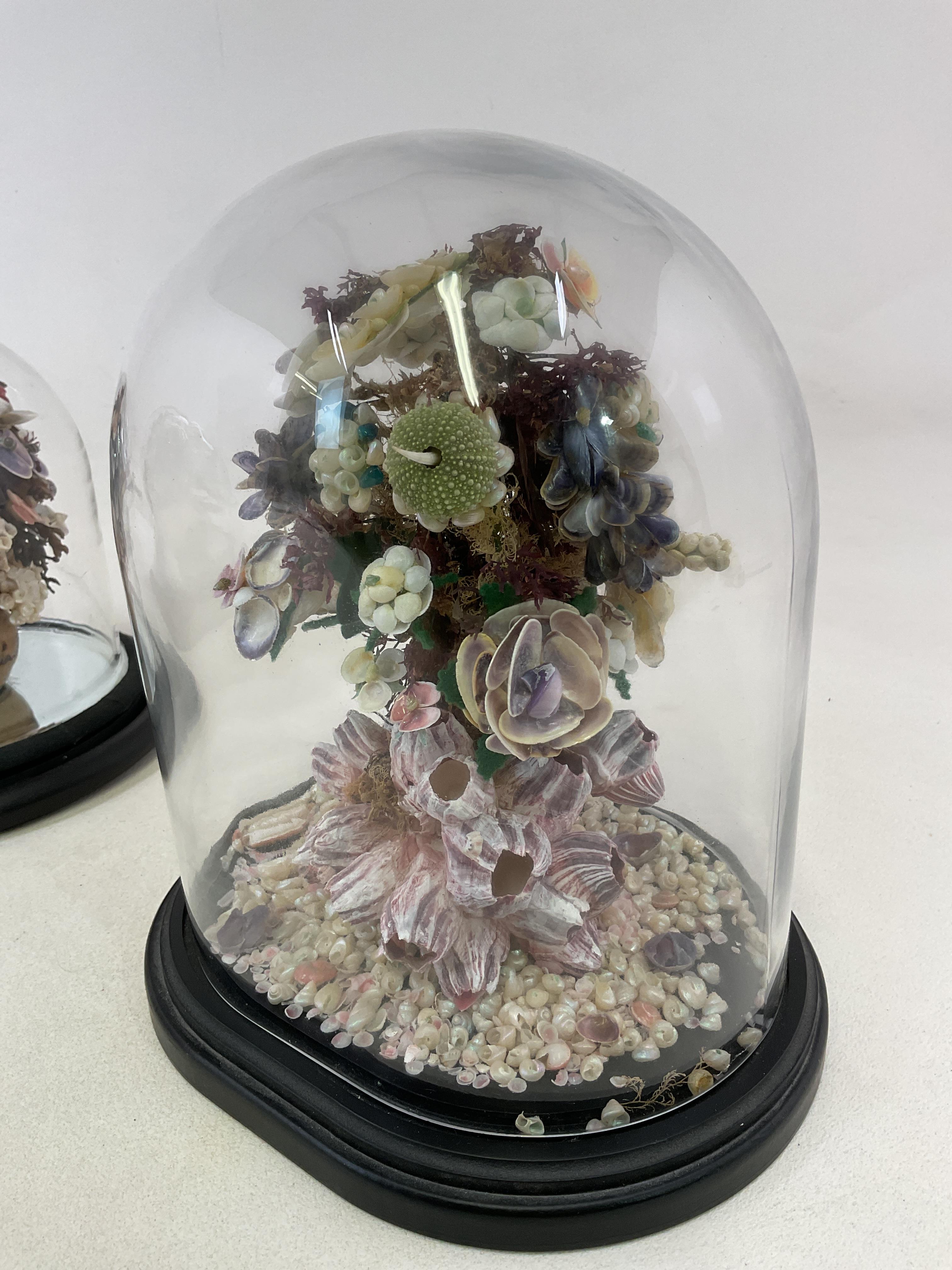 Lot 3 - Three Victorian style detailed shell displays,