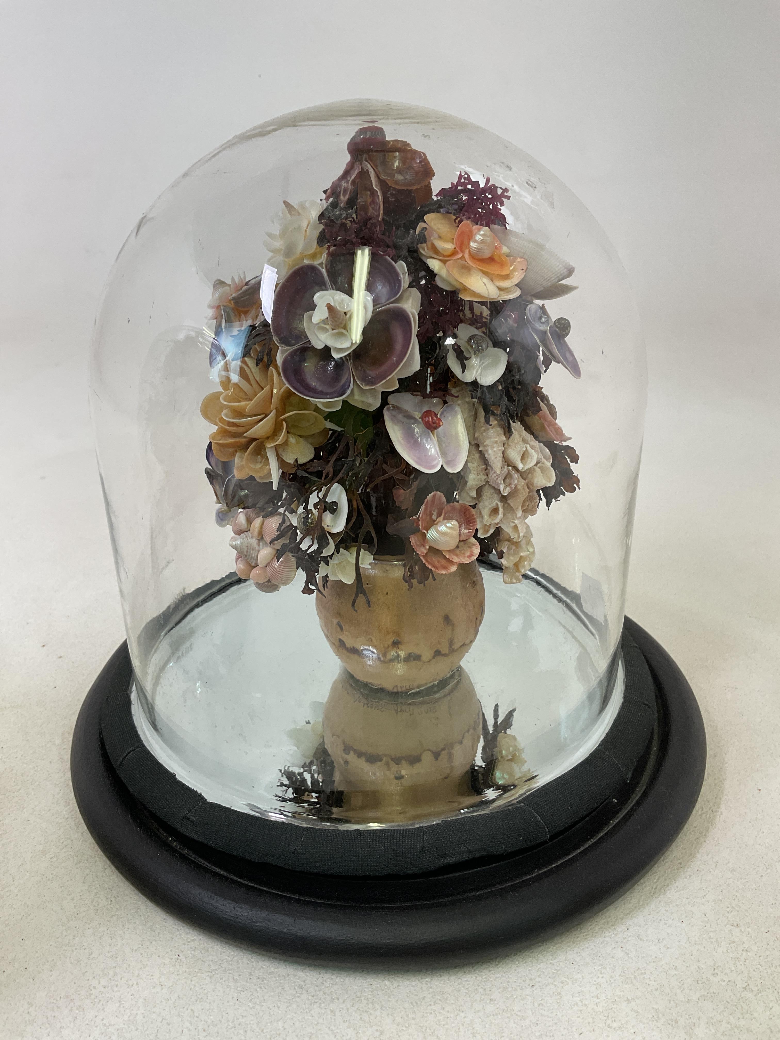 Lot 62 - Three Victorian style detailed shell displays,