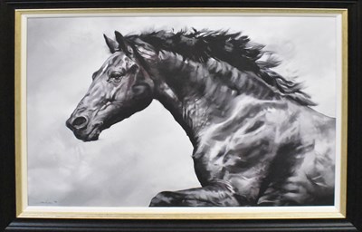 Lot 141 - DEBBIE BOON; a limited edition canvas on board...