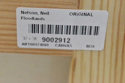 Lot 130 - NEIL NELSON; oil on canvas, 'Floodlands',...