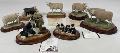 Lot 156 - BORDER FINE ARTS; five Texel sheep figures,...