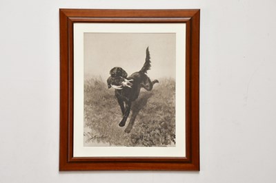 Lot 1668 - AFTER MAUD ALICE EARL (1863-1943); print, dog...